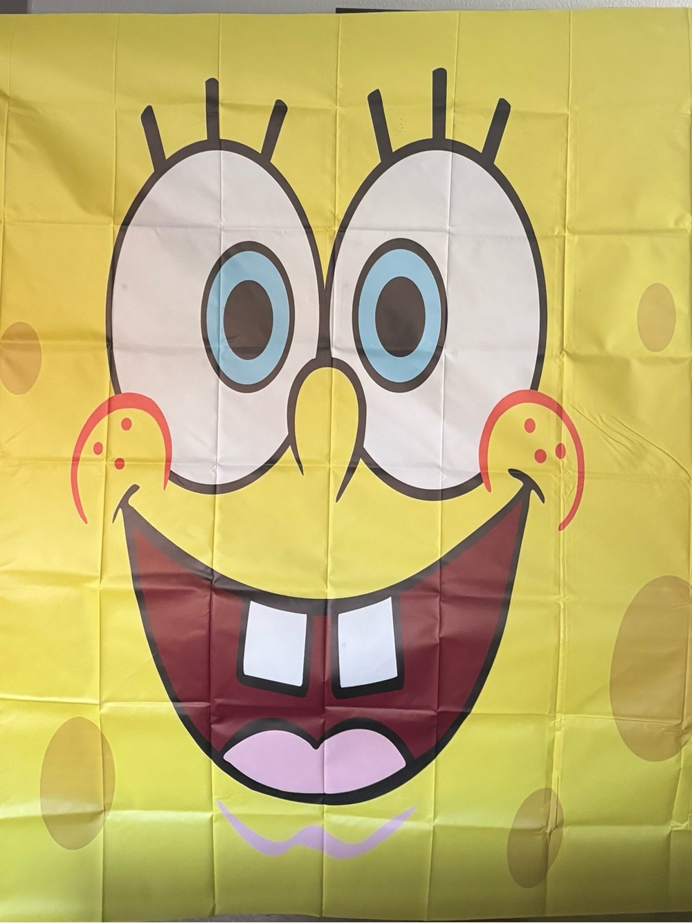 Spongebob Backdrop - Picture 6 of 8